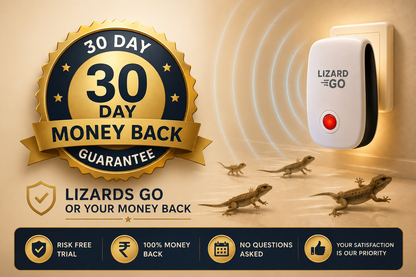 Lizard Go By Belora Home (Buy 1 Get 1 Free)
